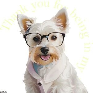 Kl EGXgnChzCgeA Vc NbVJo[ 45×45cm Aj}   NbV{̕t `