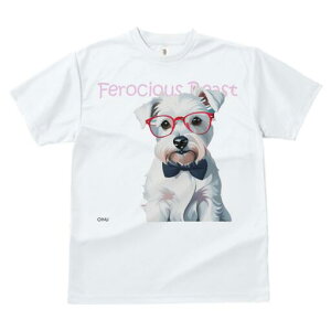 ~j`AViEU[ TVc  j[NfUCY LbY t@  t vg lJWA 킢 lԗp Mtg I ҏ΍ Kl ~j`AViEU