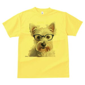 EGXgnChzCgeA TVc  j[NfUCfB[X t@  t vg lJWA 킢 lԗp Mtg I ҏ΍ Kl EGXgnC