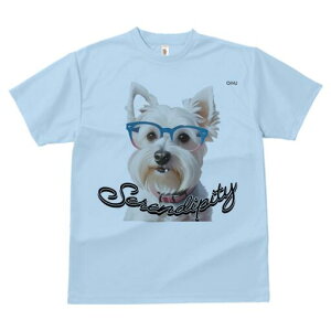 EGXgnChzCgeA TVc  j[NfUCY LbY t@  t vg lJWA 킢 lԗp Mtg I ҏ΍ Kl EGXgn