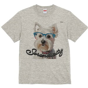 EGXgnChzCgeA TVc  j[NfUCfB[X t@  t vg lJWA 킢 lԗp Mtg I ҏ΍ Kl EGXgnC