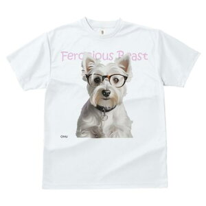 EGXgnChzCgeA TVc  j[NfUCY LbY t@  t vg lJWA 킢 lԗp Mtg I ҏ΍ Kl EGXgn