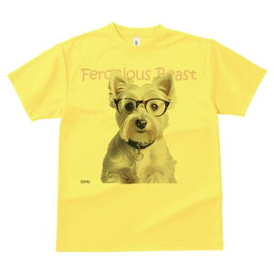 EGXgnChzCgeA TVc  j[NfUCfB[X t@  t vg lJWA 킢 lԗp Mtg I ҏ΍ Kl EGXgnC