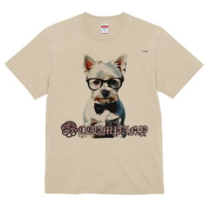 EFXgnChzCgeA TVc  j[NfUCfB[X t@  t vg lJWA 킢 lԗp Mtg I ҏ΍ Kl EFXgnC