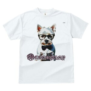 EFXgnChzCgeA TVc  j[NfUCY LbY t@  t vg lJWA 킢 lԗp Mtg I ҏ΍ Kl EFXgn