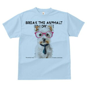 EGXgnChzCgeA TVc  j[NfUCY LbY t@  t vg lJWA 킢 lԗp Mtg I ҏ΍ Kl EGXgn