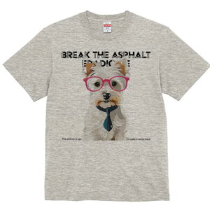 EGXgnChzCgeA TVc  j[NfUCfB[X t@  t vg lJWA 킢 lԗp Mtg I ҏ΍ Kl EGXgnC