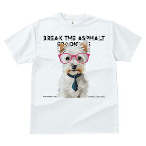 EGXgnChzCgeA TVc  j[NfUCY LbY t@  t vg lJWA 킢 lԗp Mtg I ҏ΍ Kl EGXgn