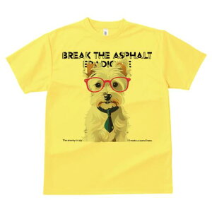 EGXgnChzCgeA TVc  j[NfUCY LbY t@  t vg lJWA 킢 lԗp Mtg I ҏ΍ Kl EGXgn