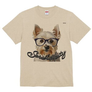 EGXgnChzCgeA TVc  j[NfUCfB[X t@  t vg lJWA 킢 lԗp Mtg I ҏ΍ Kl EGXgnC