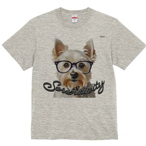 EGXgnChzCgeA TVc  j[NfUCY LbY t@  t vg lJWA 킢 lԗp Mtg I ҏ΍ Kl EGXgn