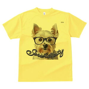 EGXgnChzCgeA TVc  j[NfUCY LbY t@  t vg lJWA 킢 lԗp Mtg I ҏ΍ Kl EGXgn