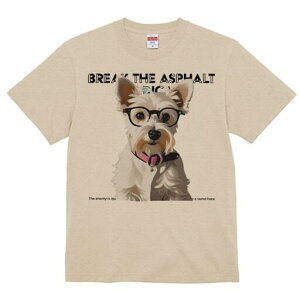 EGXgnChzCgeA TVc  j[NfUCfB[X t@  t vg lJWA 킢 lԗp Mtg I ҏ΍ Kl EGXgnC