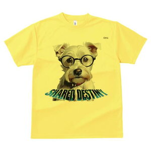 }`[Y TVc  j[NfUCfB[X t@  t vg lJWA 킢 lԗp Mtg I ҏ΍ Kl }`[Y