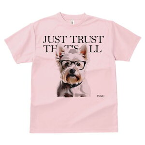 EGXgnChzCgeA TVc  j[NfUCY LbY t@  t vg lJWA 킢 lԗp Mtg I ҏ΍ Kl EGXgn