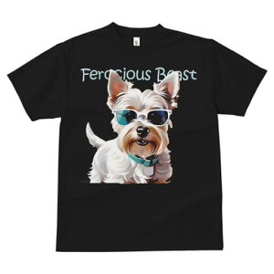 EGXgnChzCgeA TVc  j[NfUCfB[X t@  t vg lJWA 킢 lԗp Mtg I ҏ΍ TOX EGXgn