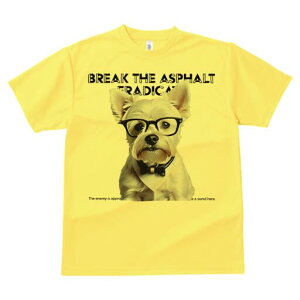 EFXgnChzCgeA TVc  j[NfUCY LbY t@  t vg lJWA 킢 lԗp Mtg I ҏ΍ Kl EFXgn