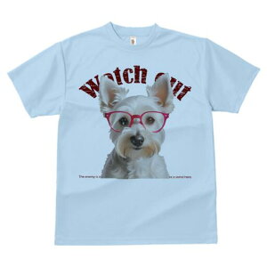 ~j`AViEU[ TVc  j[NfUCfB[X t@  t vg lJWA 킢 lԗp Mtg I ҏ΍ Kl ~j`AViEU[