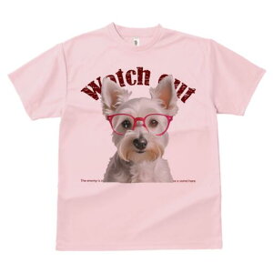 ~j`AViEU[ TVc  j[NfUCfB[X t@  t vg lJWA 킢 lԗp Mtg I ҏ΍ Kl ~j`AViEU[