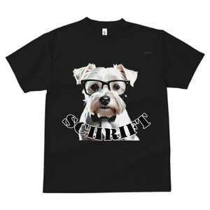 ~j`AViEU[ TVc  j[NfUCY LbY t@  t vg lJWA 킢 lԗp Mtg I ҏ΍ Kl ~j`AViEU