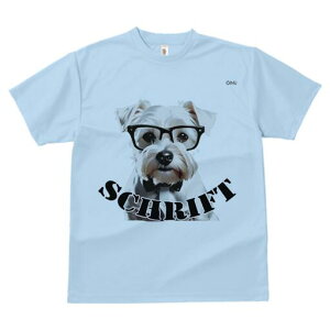 ~j`AViEU[ TVc  j[NfUCfB[X t@  t vg lJWA 킢 lԗp Mtg I ҏ΍ Kl ~j`AViEU[ 