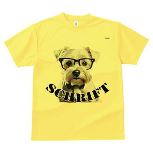 ~j`AViEU[ TVc  j[NfUCY LbY t@  t vg lJWA 킢 lԗp Mtg I ҏ΍ Kl ~j`AViEU