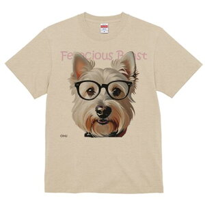 EGXgnChzCgeA TVc  j[NfUCfB[X t@  t vg lJWA 킢 lԗp Mtg I ҏ΍ Kl EGXgnC