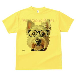 EGXgnChzCgeA TVc  j[NfUCfB[X t@  t vg lJWA 킢 lԗp Mtg I ҏ΍ Kl EGXgnC