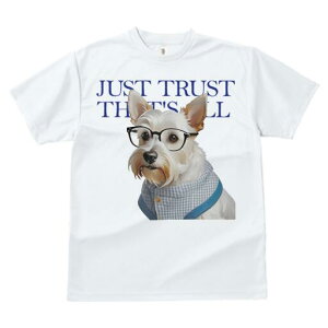 EGXgnChzCgeA TVc  j[NfUCfB[X t@  t vg lJWA 킢 lԗp Mtg I ҏ΍ Kl EGXgnC