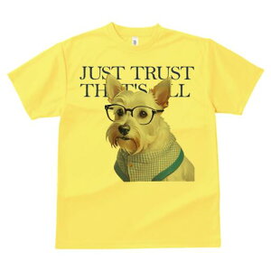 EGXgnChzCgeA TVc  j[NfUCY LbY t@  t vg lJWA 킢 lԗp Mtg I ҏ΍ Kl EGXgn