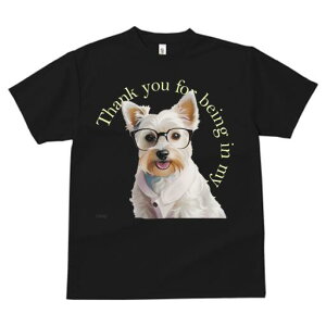 EGXgnChzCgeA TVc  j[NfUCfB[X t@  t vg lJWA 킢 lԗp Mtg I ҏ΍ Kl EGXgnC