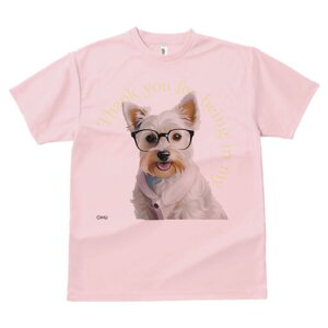 EGXgnChzCgeA TVc  j[NfUCfB[X t@  t vg lJWA 킢 lԗp Mtg I ҏ΍ Kl EGXgnC