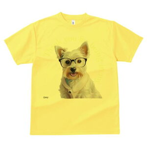 EGXgnChzCgeA TVc  j[NfUCfB[X t@  t vg lJWA 킢 lԗp Mtg I ҏ΍ Kl EGXgnC