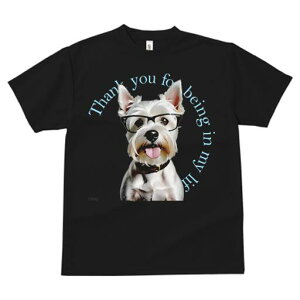 EGXgnChzCgeA TVc  j[NfUCfB[X t@  t vg lJWA 킢 lԗp Mtg I ҏ΍ Kl EGXgnC