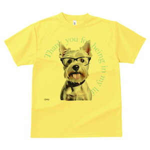 EGXgnChzCgeA TVc  j[NfUCfB[X t@  t vg lJWA 킢 lԗp Mtg I ҏ΍ Kl EGXgnC