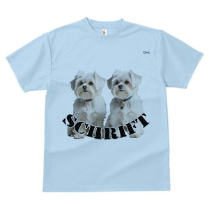 }`[Y TVc  j[NfUCfB[X t@  t vg lJWA 킢 lԗp Mtg I ҏ΍ }`[Y