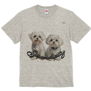 }`[Y TVc  j[NfUCfB[X t@  t vg lJWA 킢 lԗp Mtg I ҏ΍ }`[Y