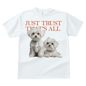 }`[Y TVc  j[NfUCfB[X t@  t vg lJWA 킢 lԗp Mtg I ҏ΍ }`[Y