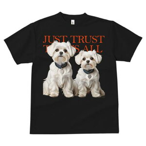 }`[Y TVc  j[NfUCfB[X t@  t vg lJWA 킢 lԗp Mtg I ҏ΍ }`[Y