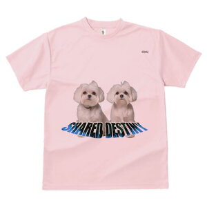 }`[Y TVc  j[NfUCfB[X t@  t vg lJWA 킢 lԗp Mtg I ҏ΍ }`[Y