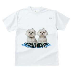 }`[Y TVc  j[NfUCfB[X t@  t vg lJWA 킢 lԗp Mtg I ҏ΍ }`[Y