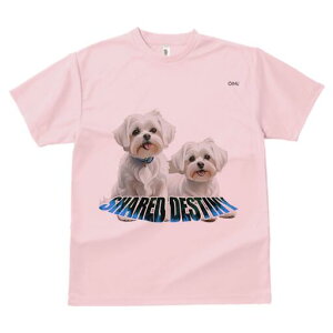 }`[Y TVc  j[NfUCfB[X t@  t vg lJWA 킢 lԗp Mtg I ҏ΍ }`[Y