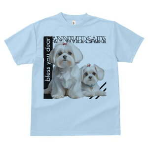 }`[Y TVc  j[NfUCfB[X t@  t vg lJWA 킢 lԗp Mtg I ҏ΍ { }`[Y