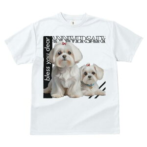 }`[Y TVc  j[NfUCfB[X t@  t vg lJWA 킢 lԗp Mtg I ҏ΍ { }`[Y