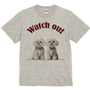 }`[Y TVc  j[NfUCfB[X t@  t vg lJWA 킢 lԗp Mtg I ҏ΍ }`[Y