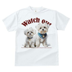 }`[Y TVc  j[NfUCfB[X t@  t vg lJWA 킢 lԗp Mtg I ҏ΍ }`[Y