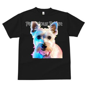 EGXgnChzCgeA TVc  j[NfUCfB[X t@  t vg lJWA 킢 lԗp Mtg I ҏ΍ EGXgnChz