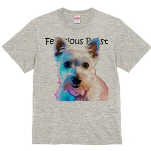 EGXgnChzCgeA TVc  j[NfUCY LbY t@  t vg lJWA 킢 lԗp Mtg I ҏ΍ EGXgnCh