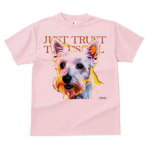 EGXgnChzCgeA TVc  j[NfUCfB[X t@  t vg lJWA 킢 lԗp Mtg I ҏ΍ EGXgnChz