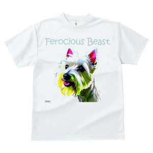 EGXgnChzCgeA TVc  j[NfUCfB[X t@  t vg lJWA 킢 lԗp Mtg I ҏ΍ EGXgnChz